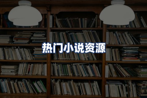 热门小说资源